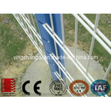 Double Wire Mesh Fence 8/6/8mm 6/5/6mm X 200X50mm
